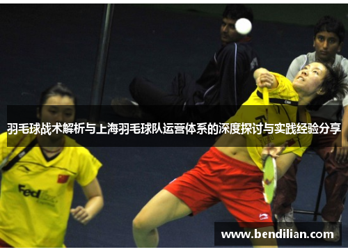 羽毛球战术解析与上海羽毛球队运营体系的深度探讨与实践经验分享
