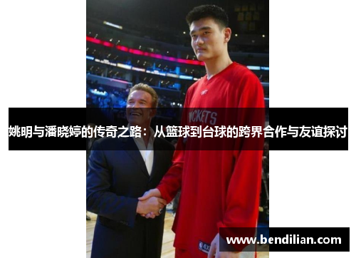 姚明与潘晓婷的传奇之路：从篮球到台球的跨界合作与友谊探讨