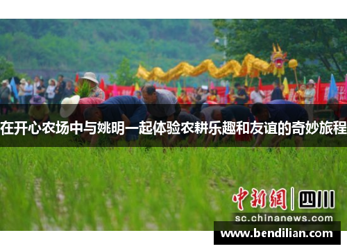 在开心农场中与姚明一起体验农耕乐趣和友谊的奇妙旅程